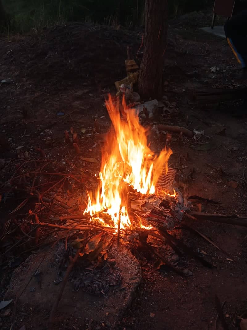 Rural Campfire Scene - Image 1