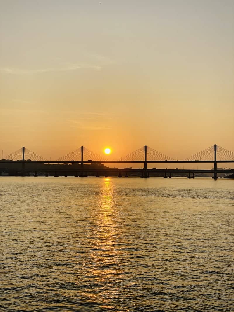 Atal Setu (Mandovi Bridge) - Image 1