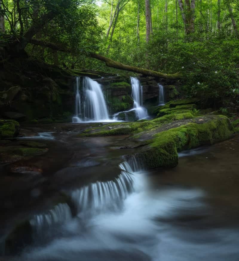 Triple Falls on Rhododendron Creek - Image 1