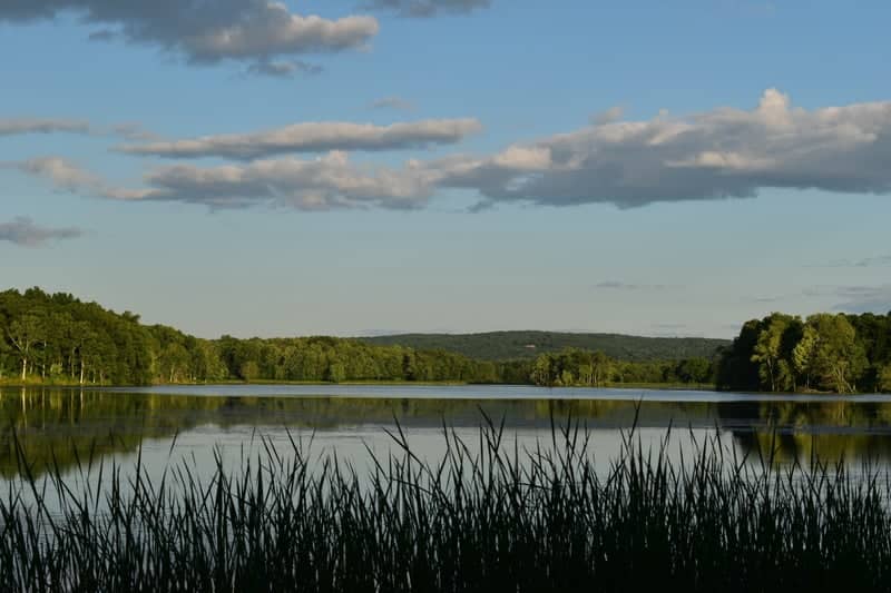Mudge Pond - Image 1