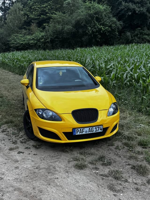 Ilmmünster Countryside Roadside - Image 1