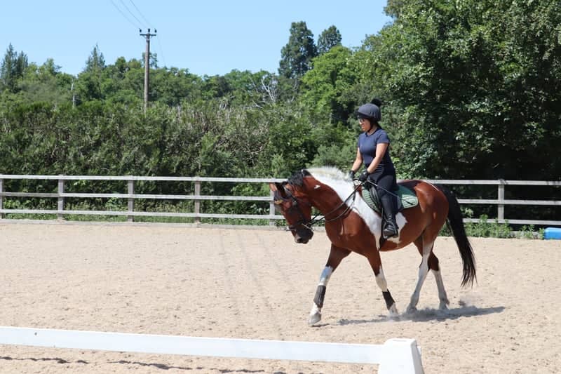 Wellingtonia Equestrian Arena - Image 1