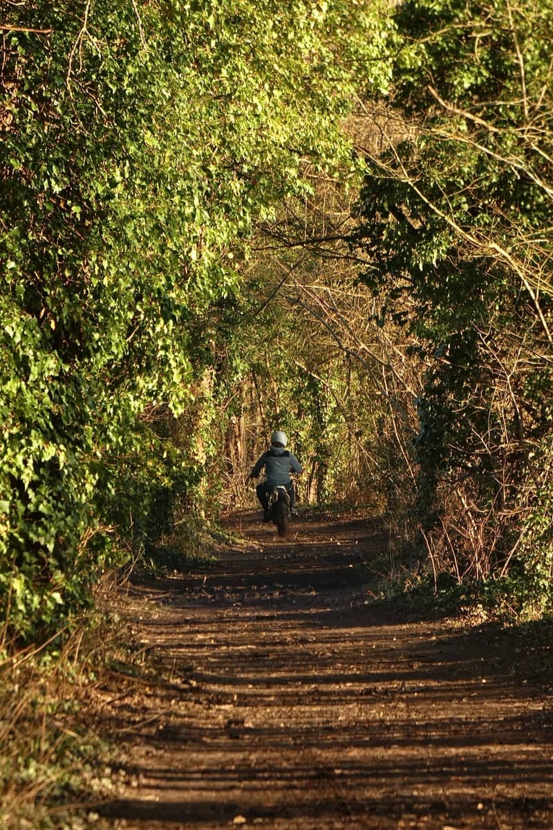 Jouy-le-Moutier Forest Trail - Image 1