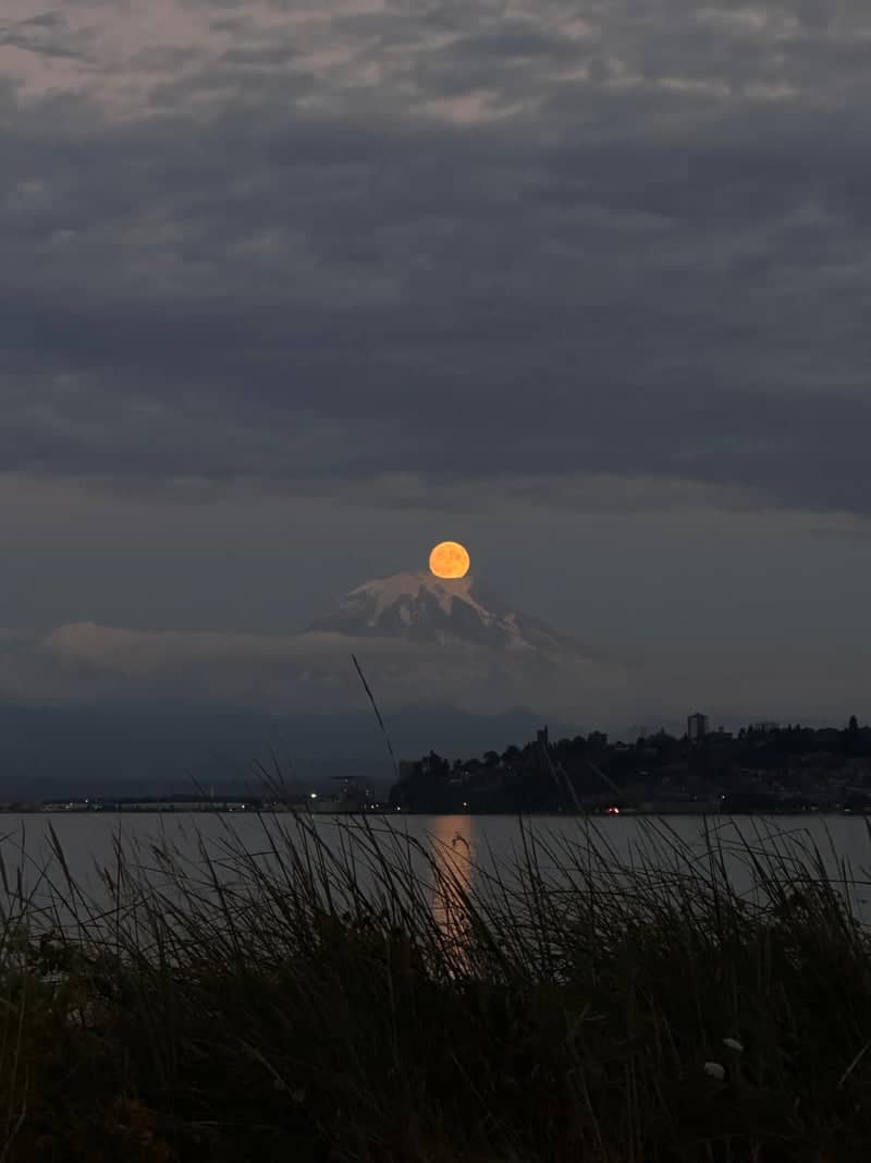 Mount Rainier View from Point Defiance - Image 1