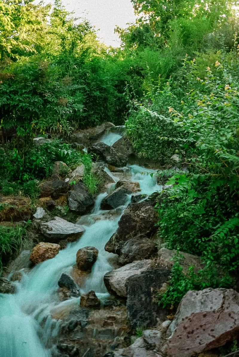Arpad Szenes Garden Stream - Image 1