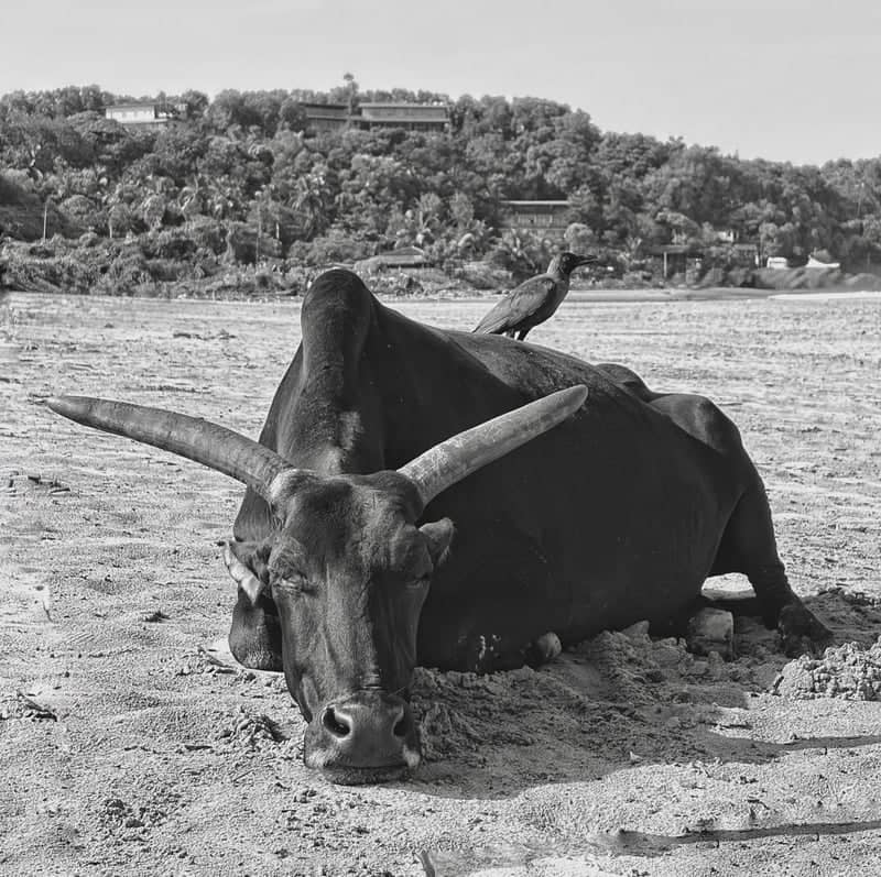 Gokarna Main Beach - Image 1