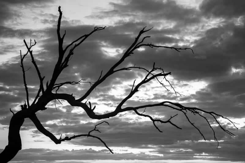 Brown Hill Creek Recreation Park - Image 1