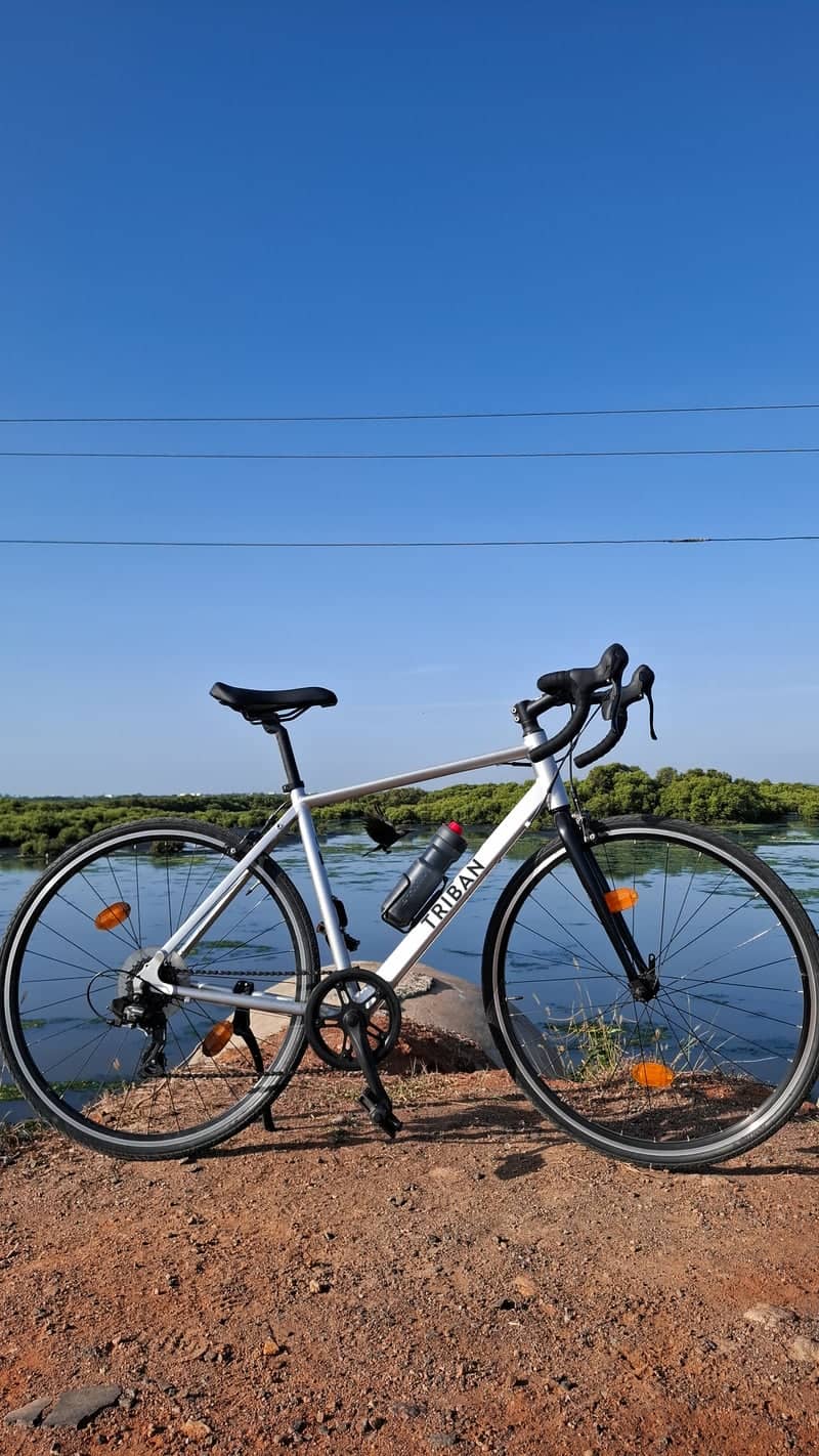 Muttukadu Backwaters Overlook - Image 1