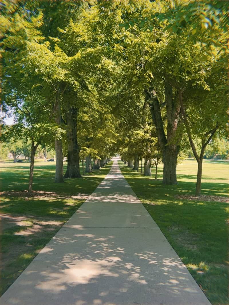 The Oval at Colorado State University - Image 1