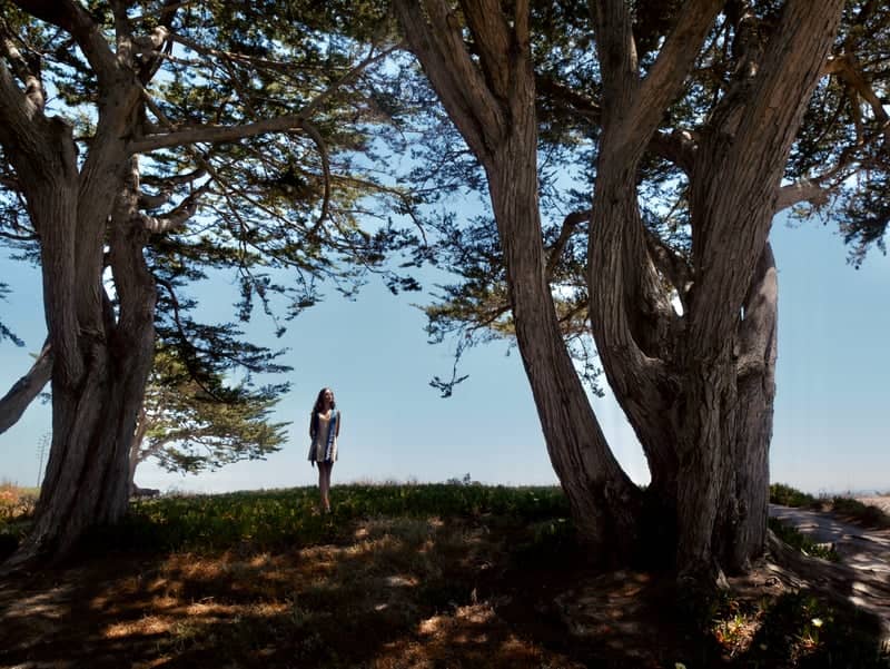 Campus Point, UCSB - Image 1