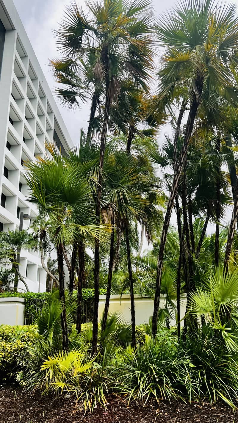 PGA Financial Plaza - Image 1