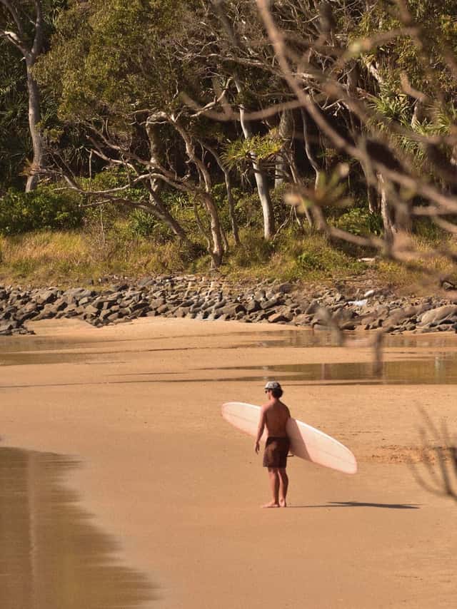 Noosa National Park Coastal Walk