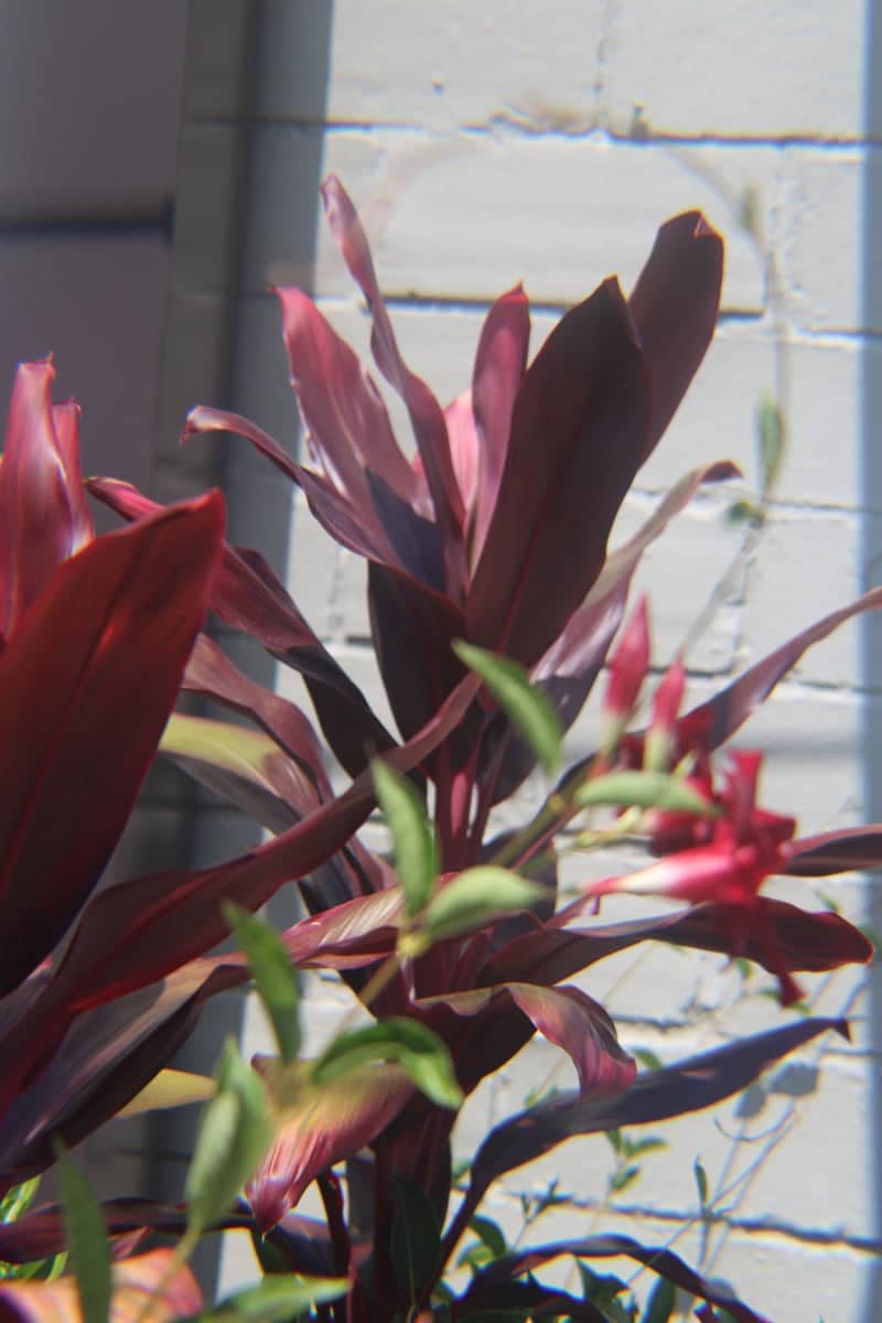West 1st Street Garden Planters - Image 2