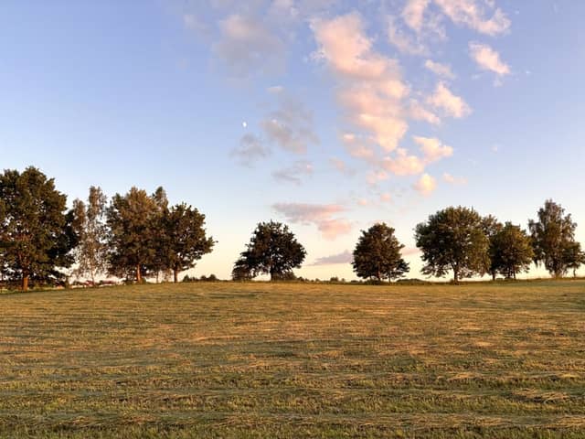 Łąg Rural Fields - Image 1
