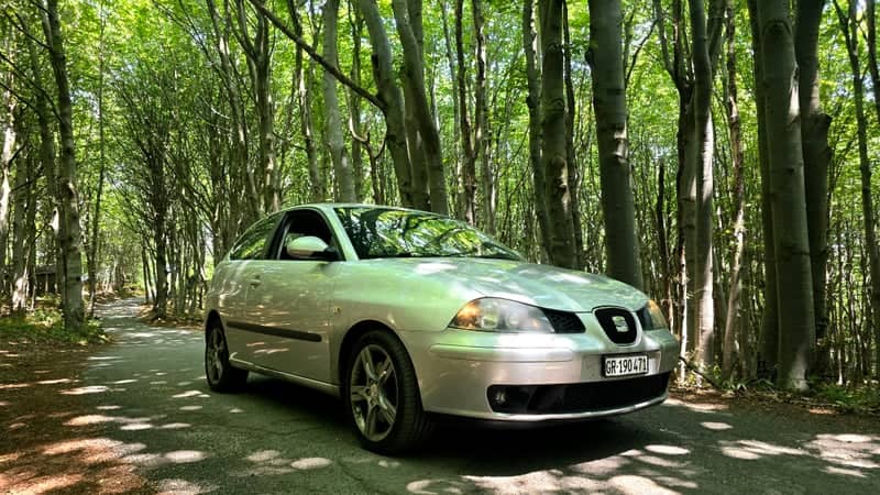 Rossiglione Forest Road - Image 1