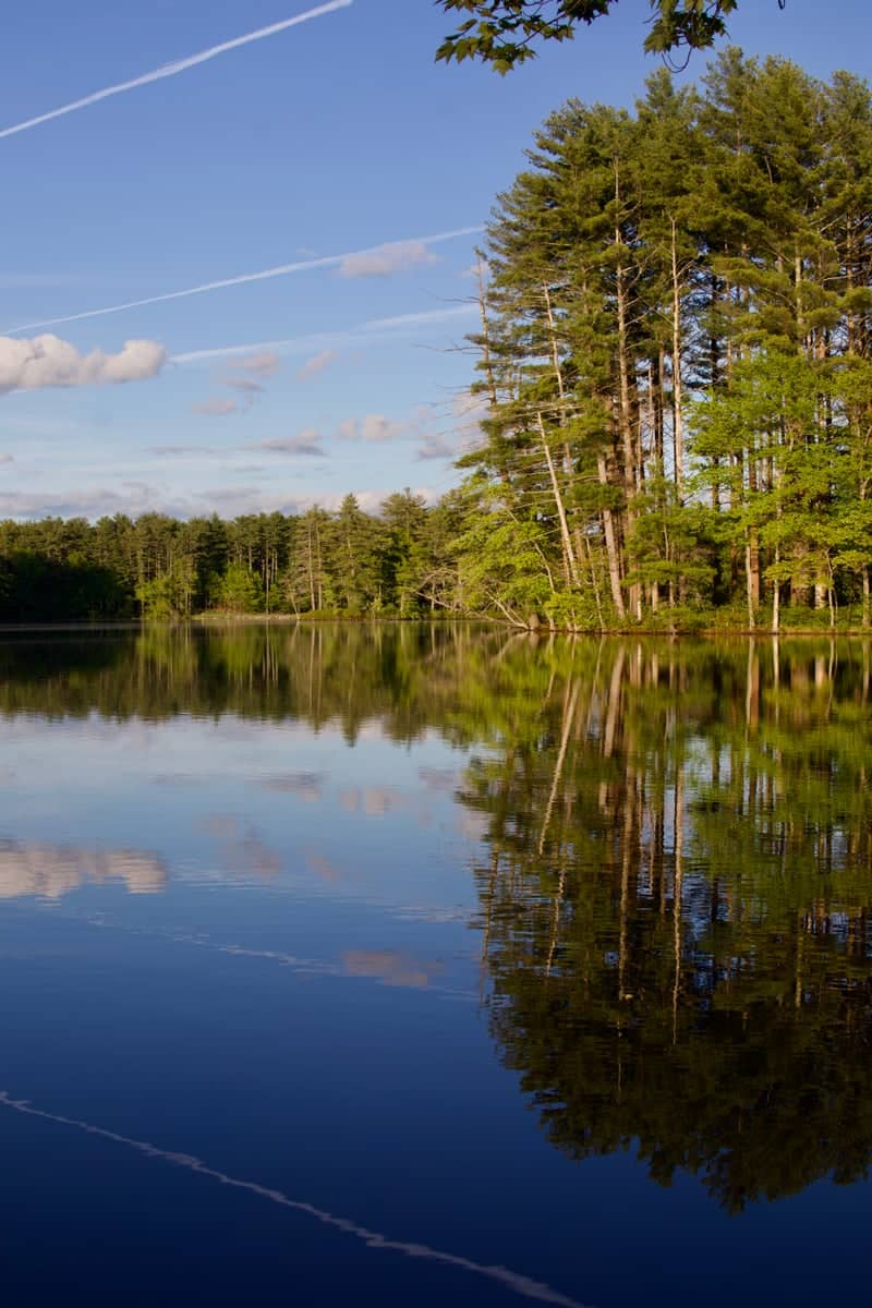 World End Pond - Image 1