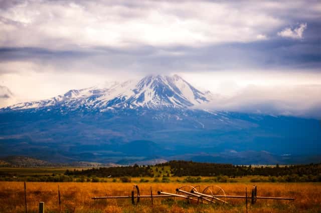 Mount Shasta View from Gazelle
