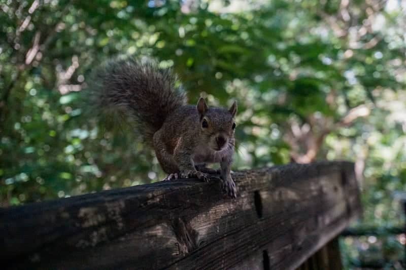Quiet Waters Park - Image 1
