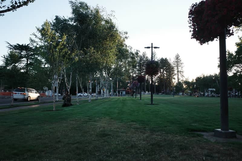 Beaverton City Park - Image 1
