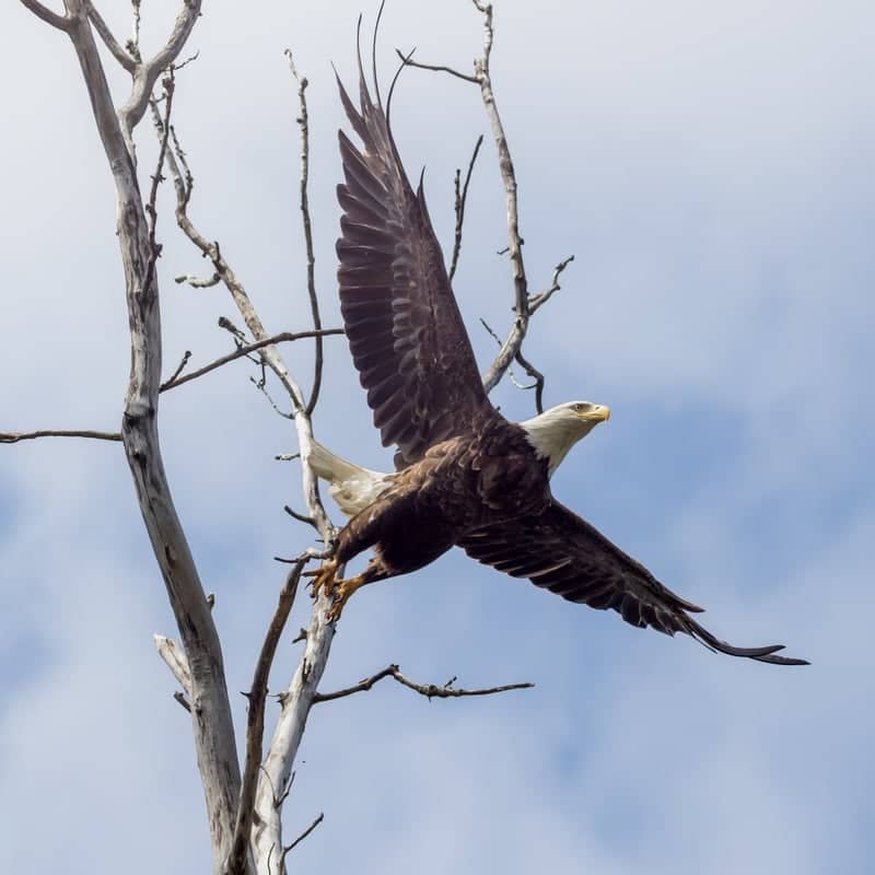 Sycamore Creek Wildlife Area - Image 1