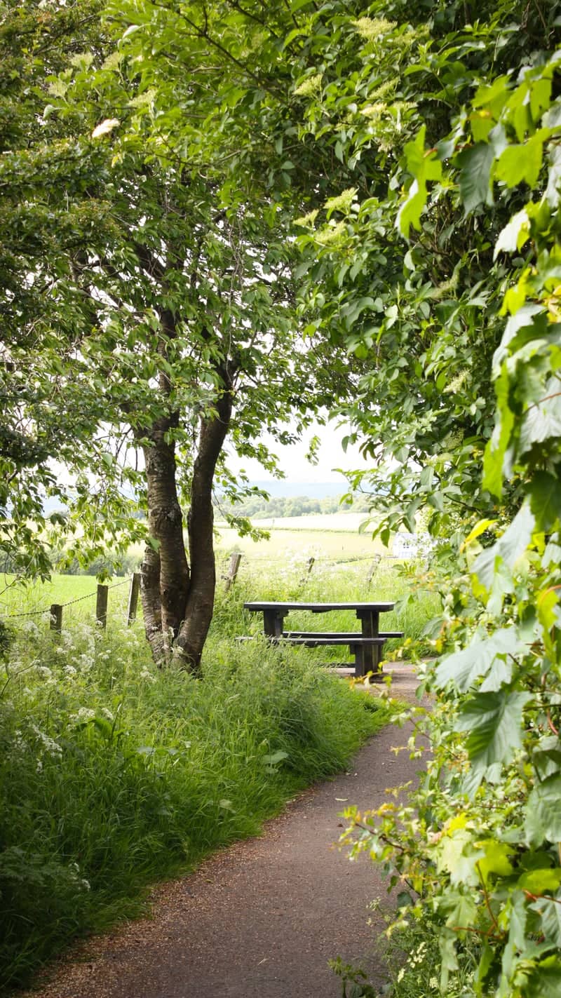 Auchinloch Green Path & Picnic Spot - Image 1