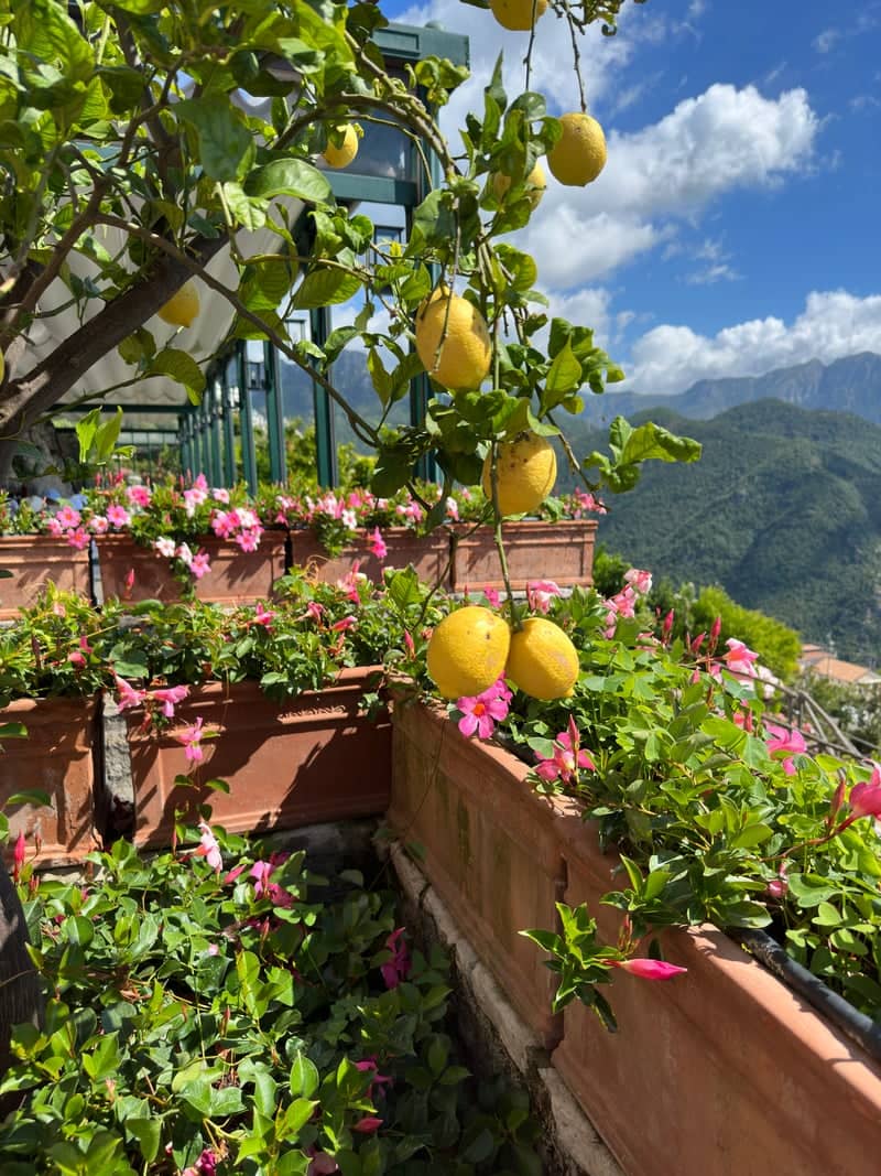 Belmond Hotel Caruso Terrace - Image 1