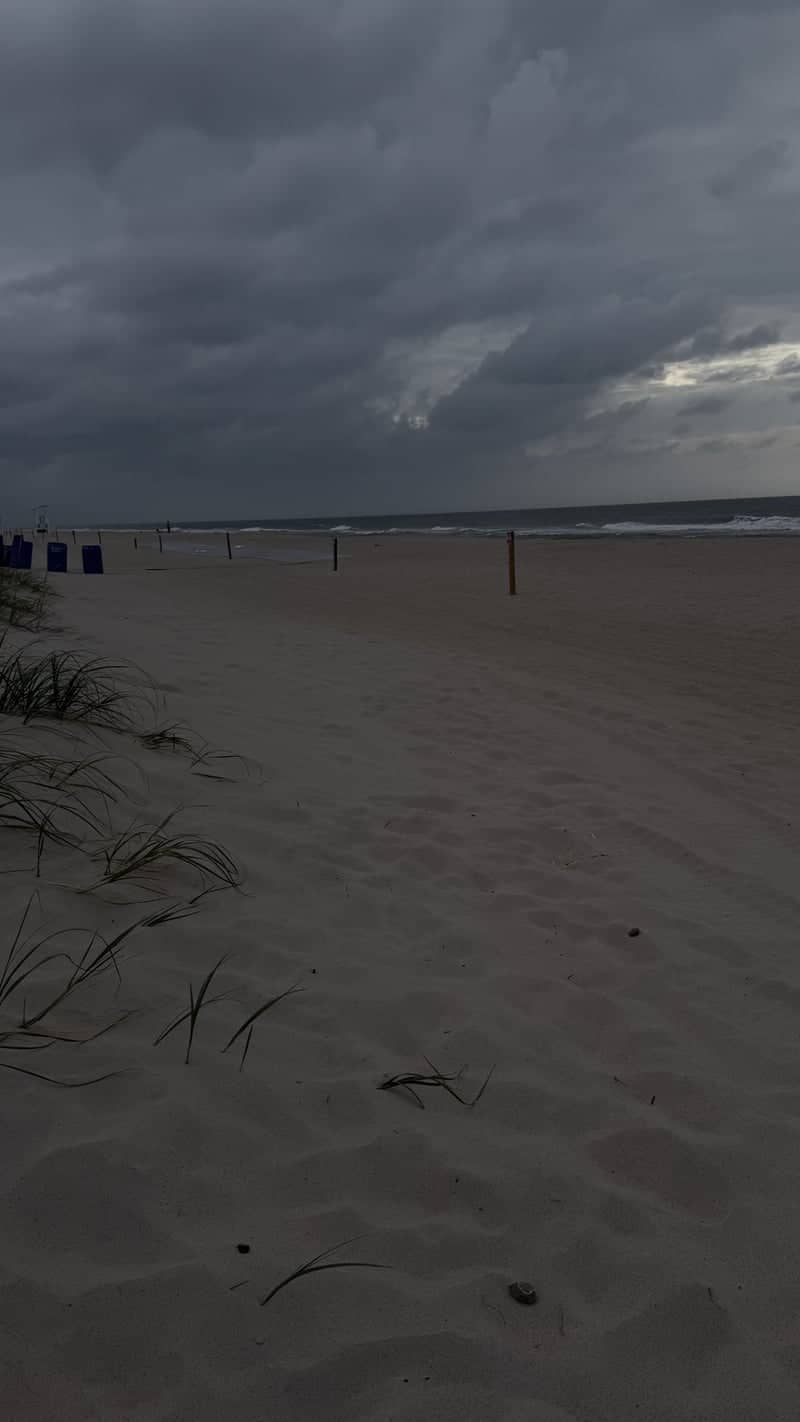 Carolina Beach Shoreline - Image 1