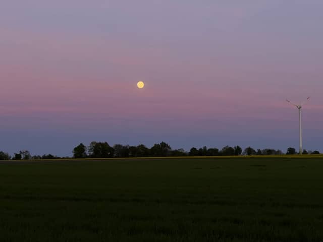 Schneverdingen Rural Fields - Image 1
