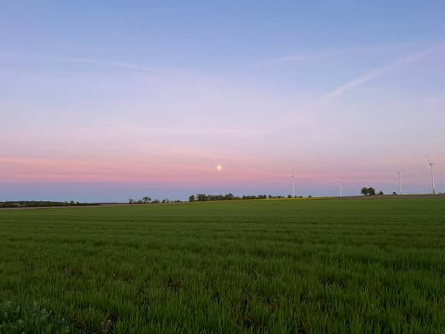 Schneverdingen Farmland Overlook - Image 1
