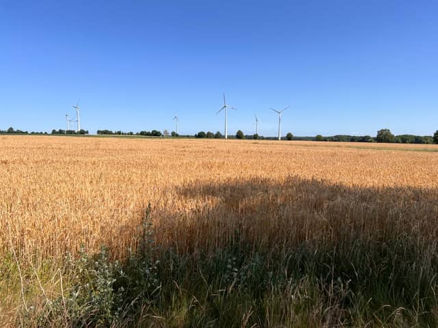 Schneverdingen Wheat Fields - Image 1