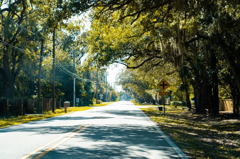 Mellonville Avenue Oak Canopy - Image 1