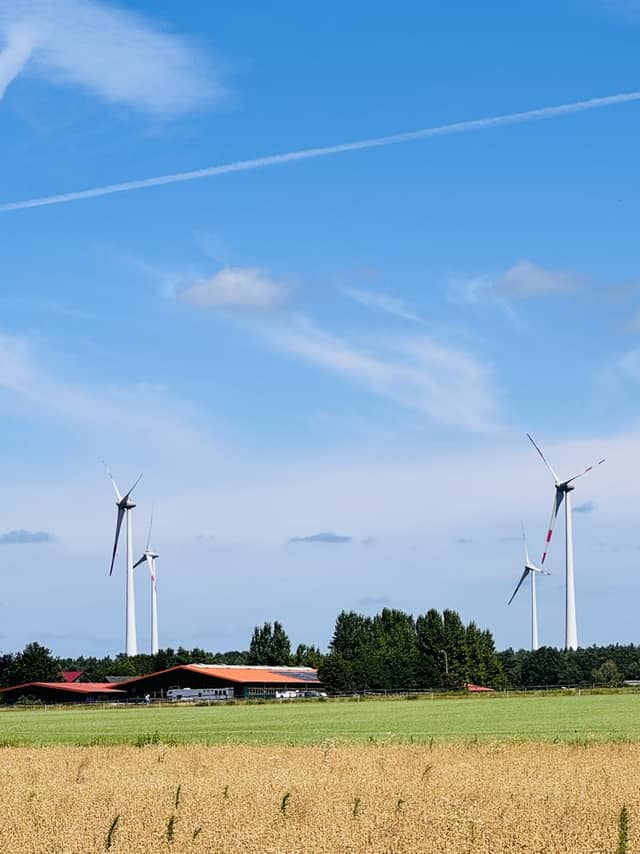 Schneverdingen Rural Landscape - Image 1