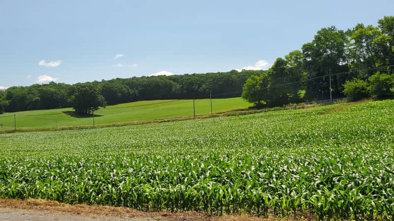 Churchville Rolling Farmland - Image 1