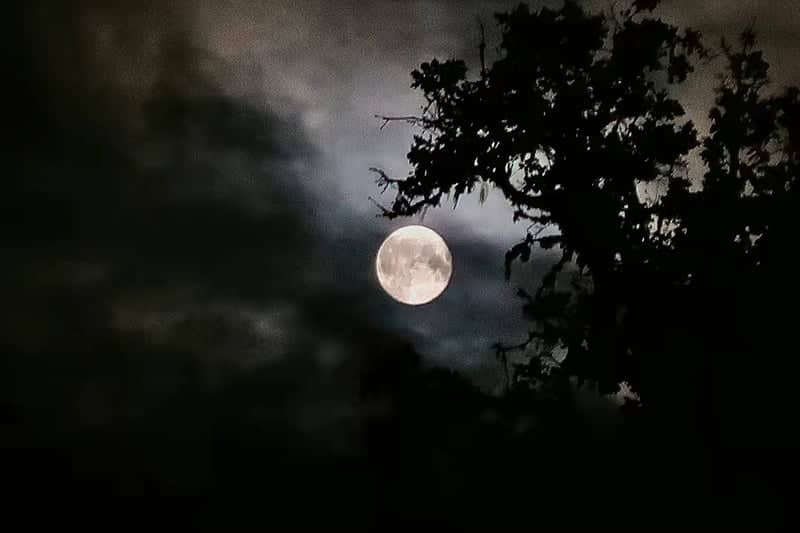 Falls City Night Sky - Image 1