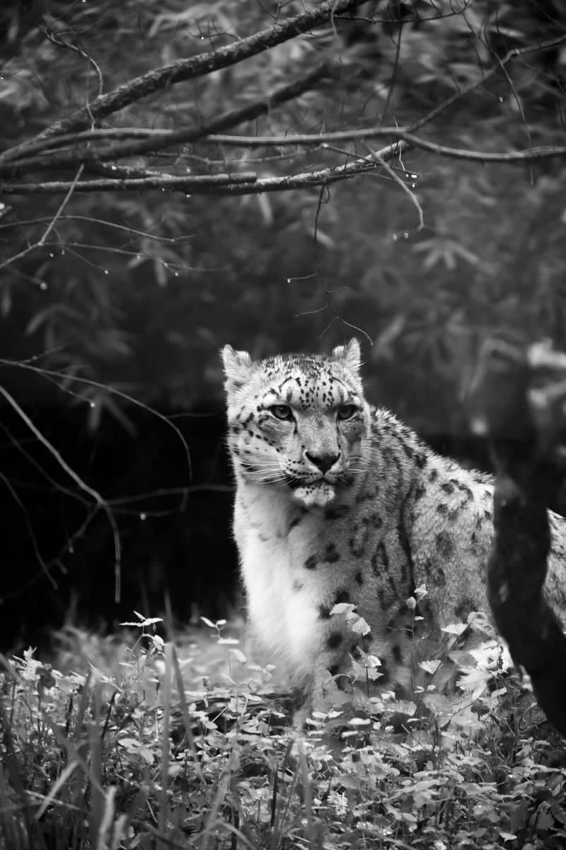 Binder Park Zoo - Image 1