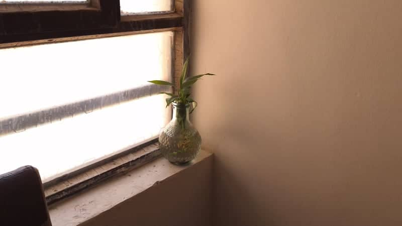 Zakho Interior Window Still Life - Image 1