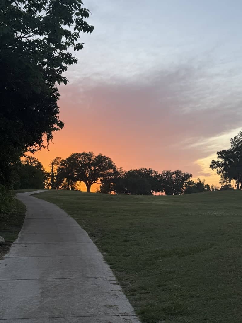 Golden Ocala Sunset Path - Image 1