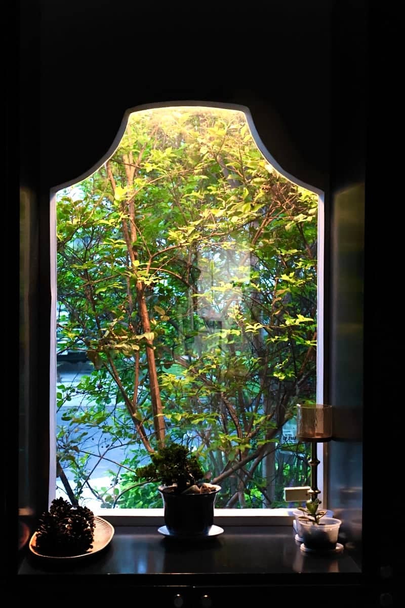 Decorative Garden Window, Ventura - Image 1