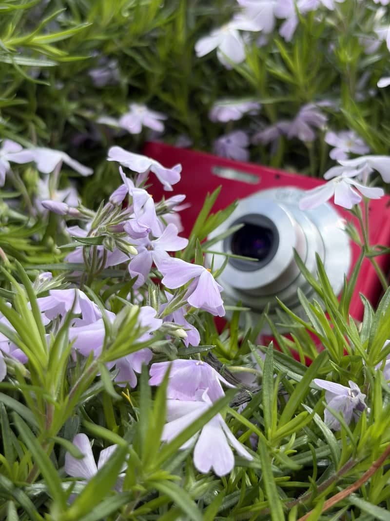 Mooresville Spring Garden - Image 1
