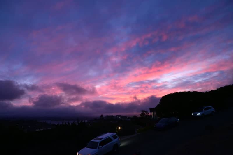Tiburon Hillside Overlook - Image 1