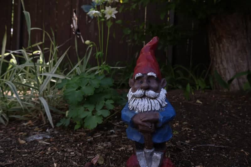 Regina Garden Gnome - Image 1