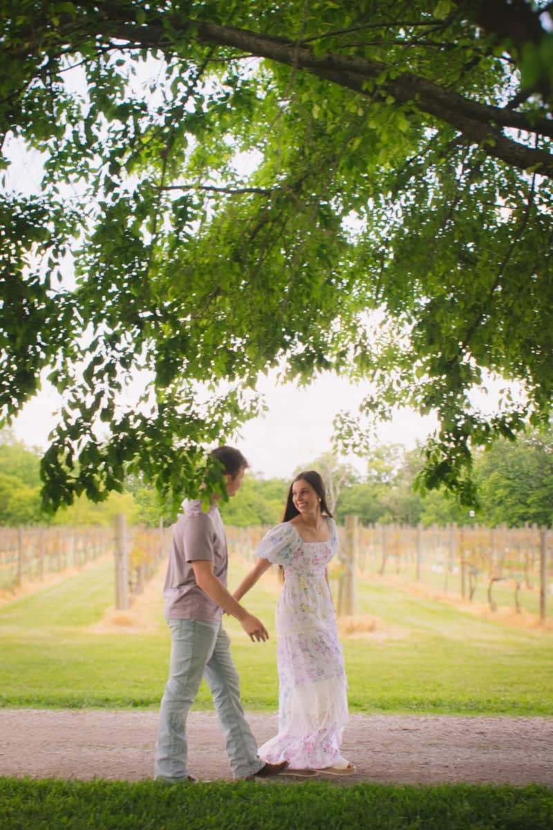 Midway Vineyard - Image 1