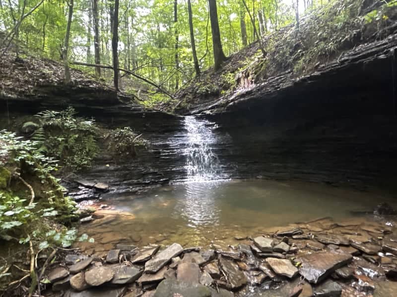Brandon Parkway Woodland Falls - Image 1
