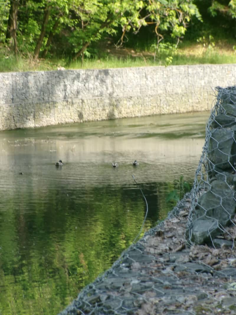 Ramenka River Canal - Image 1