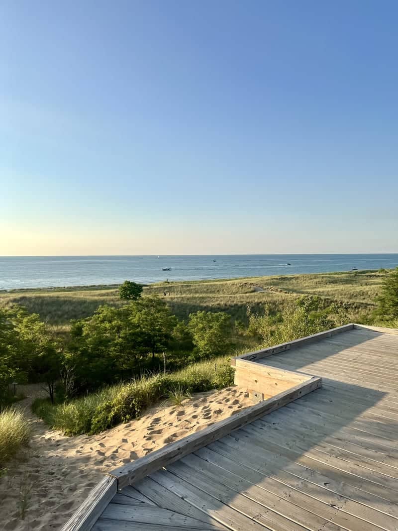 New Buffalo City Beach Dunes - Image 1