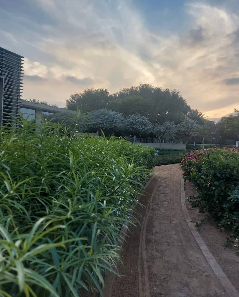 Umm Al Emarat Park Garden Walk - Image 1
