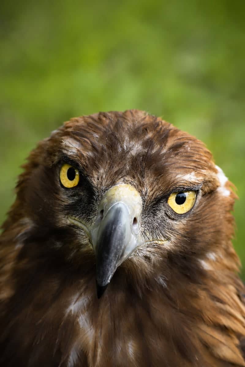 Zoo Santo Inácio - Image 4