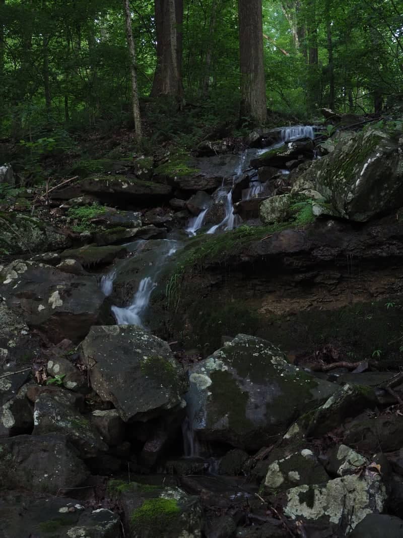 Linn Run Forest Cascade - Image 1