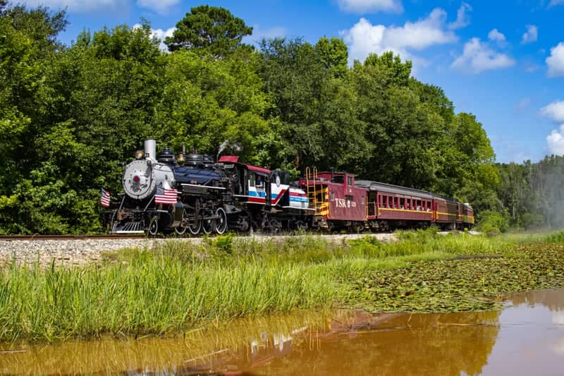 Texas State Railroad at Still Creek Pond - Image 1