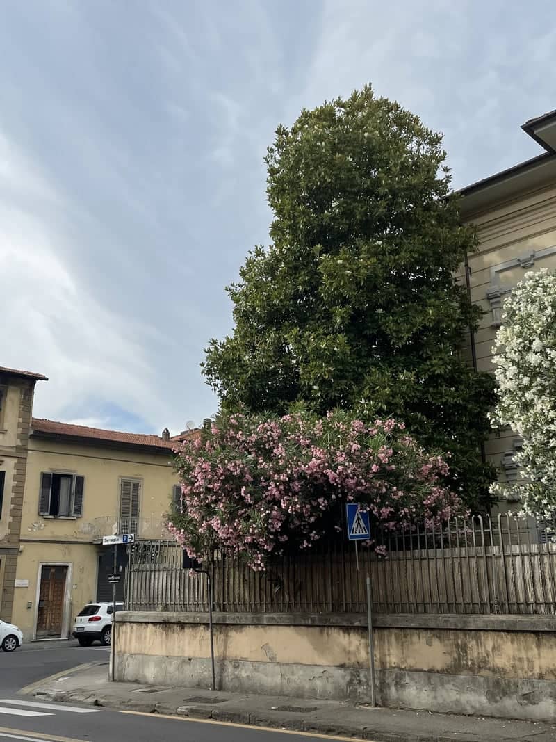 Prato Urban Garden Street - Image 1
